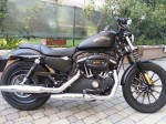 Harley Davidson Sporster Iron 883