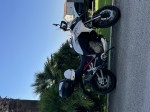 Ducati Multistrada V4 S FULL