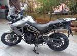 Triumph TIGER XRX 800